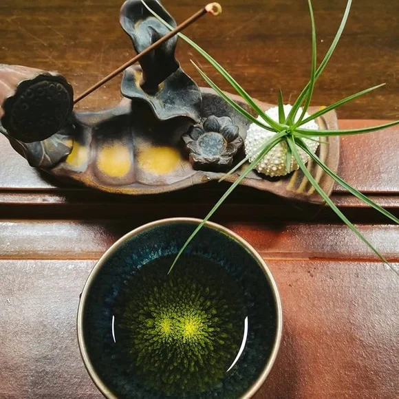 Sea Urchin Shells for Hanging Plant - Picture 8 of 9